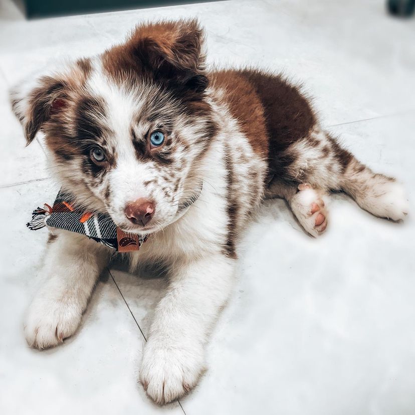 41EB8F89-235D-4059-B698-A7C52D366244