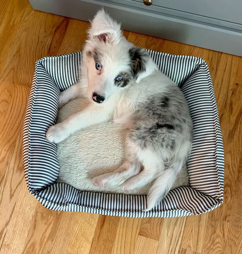 A26D873F-1582-4F66-8FF7-2C944C4222B7