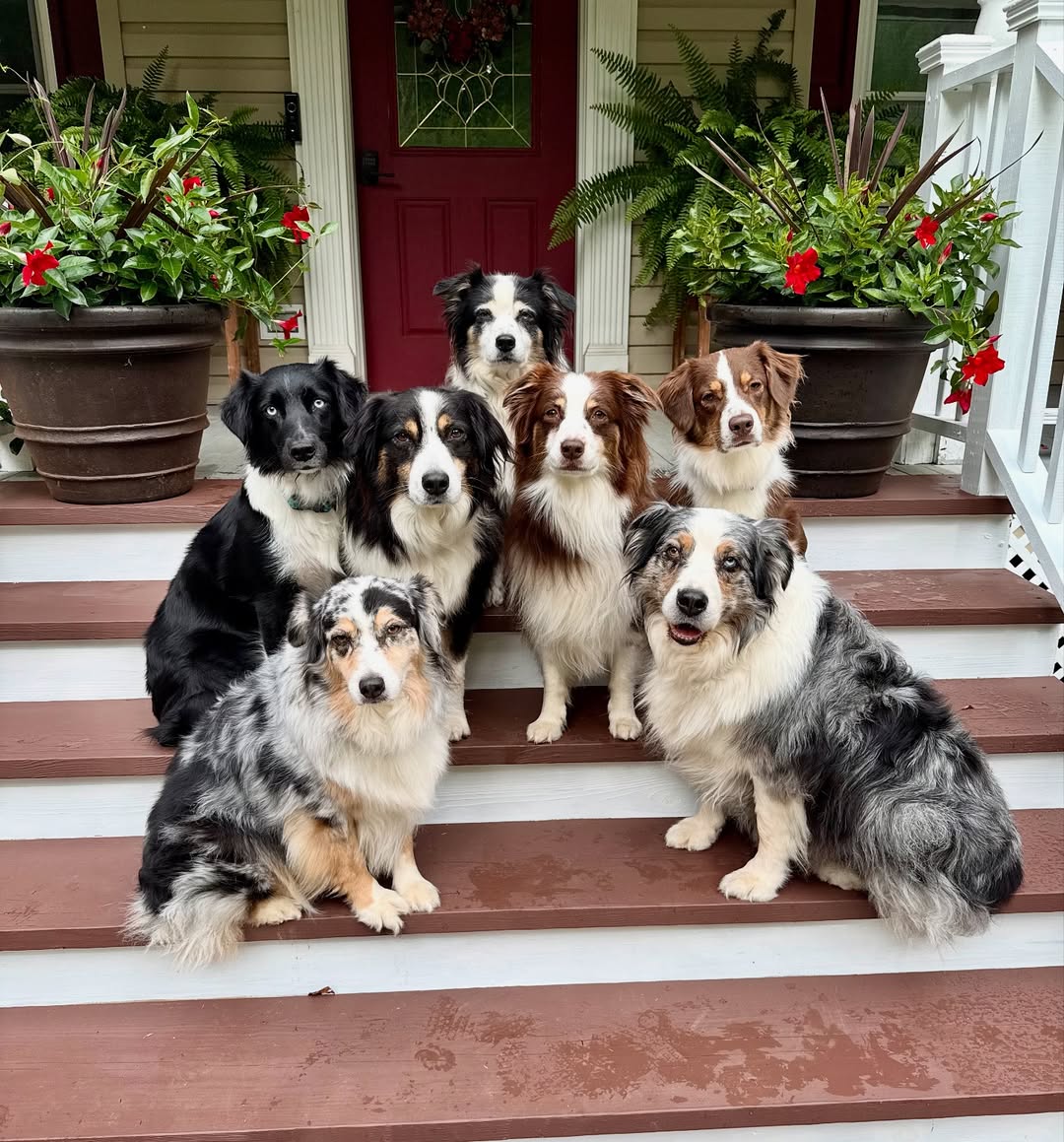 I haven’t done one of these group shots in a long time since our new house needed work on the st
