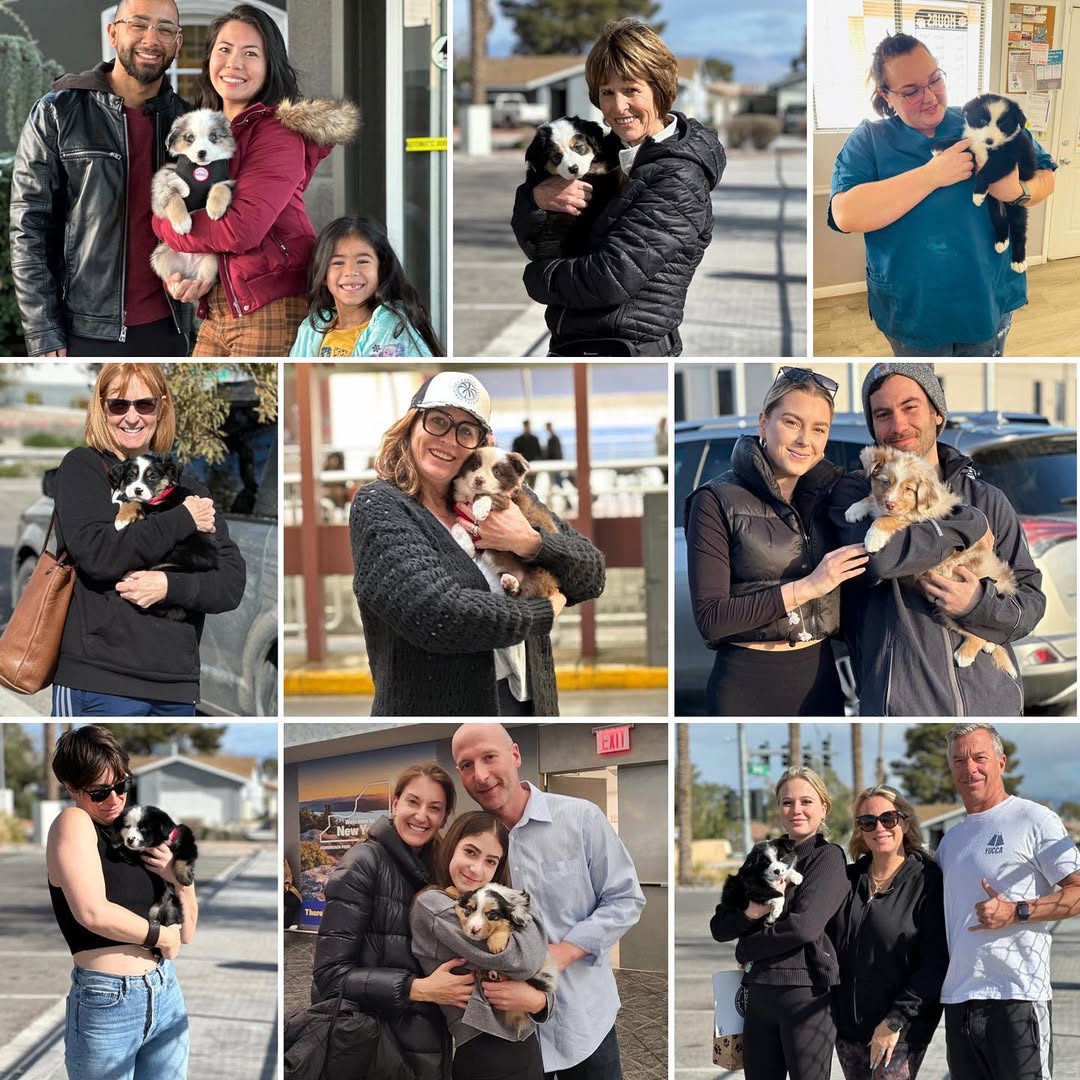 Smiles and arms full of love ♡Happy Gotcha Day little ones Denim ❥ Focus & Messi ❥ Hank puppies(1)